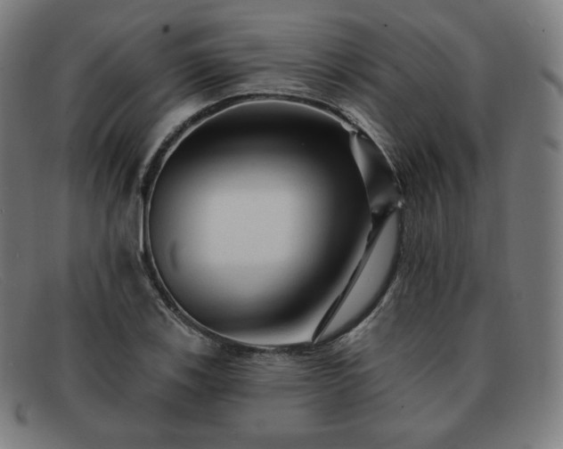 X0000091891123200709121434