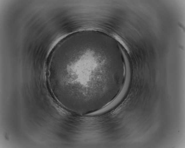 X0000091891124200709121434