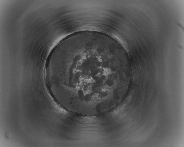 X0000091891125200709121434
