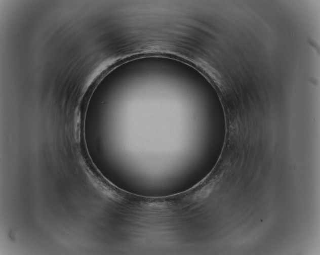 X0000091891126200709121434