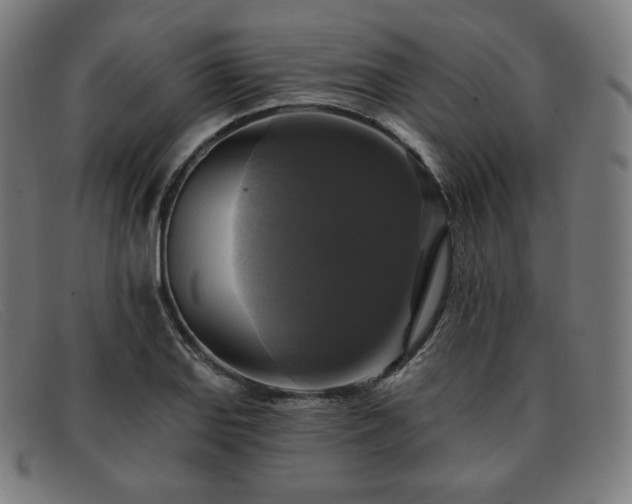 X0000091891127200709121434