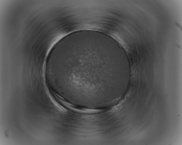 X0000091891128200709121434