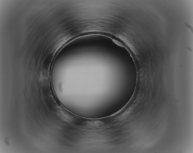 X0000091891129200709121434