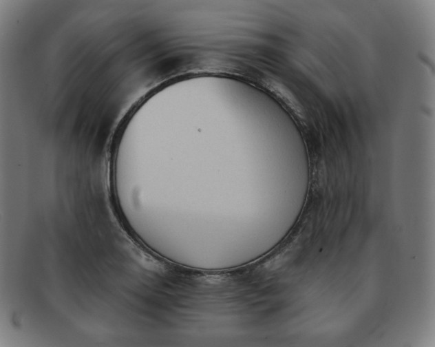 X0000091891130200709121435