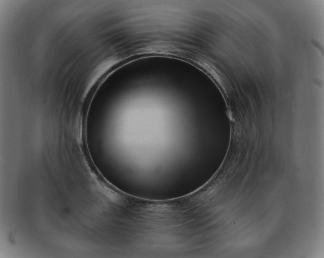 X0000091891131200709121435