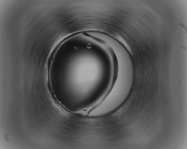 X0000091891132200709121435
