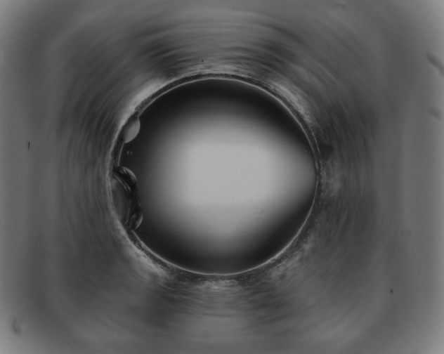 X0000091891133200709121435