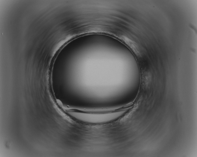 X0000091891134200709121435