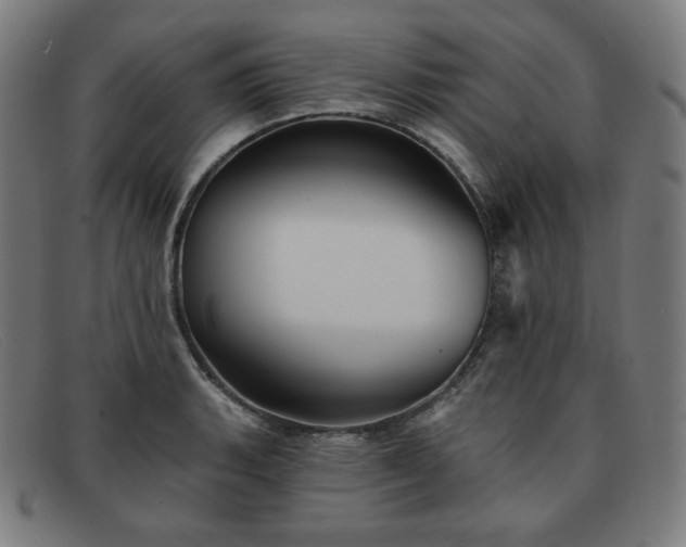 X0000091891135200709121435