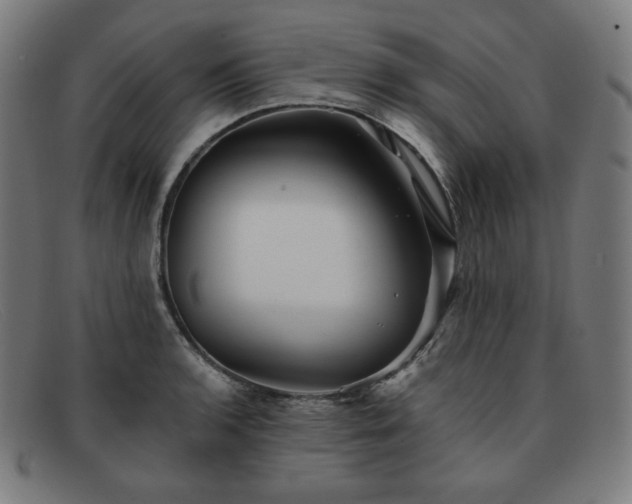 X0000091891136200709121435