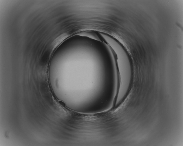 X0000091891137200709121435
