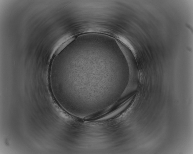 X0000091891138200709121435