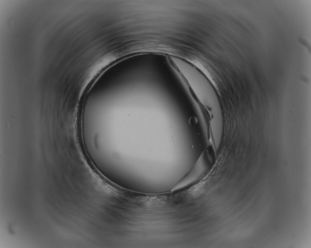 X0000091891139200709121435