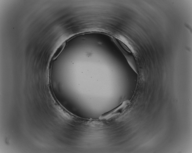 X0000091891140200709121435