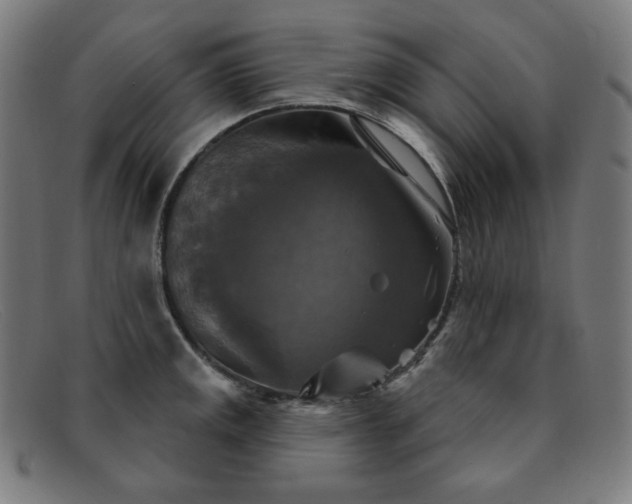 X0000091891141200709121435