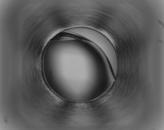 X0000091891142200709121435