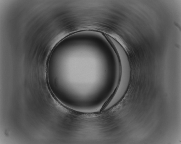 X0000091891143200709121435