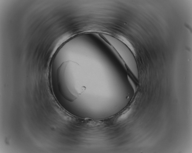 X0000091891146200709121435