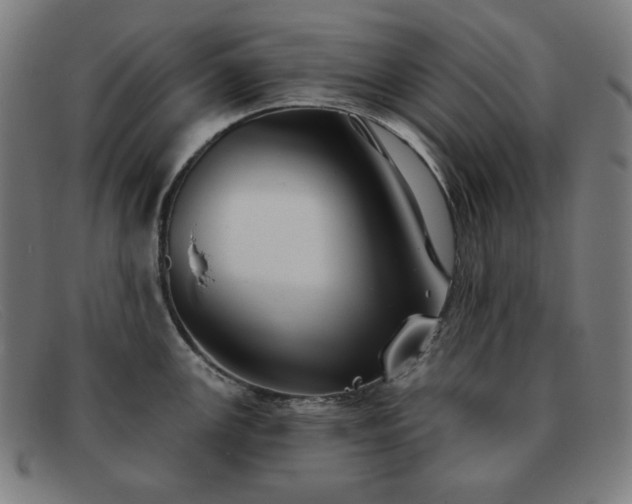 X0000091891147200709121435