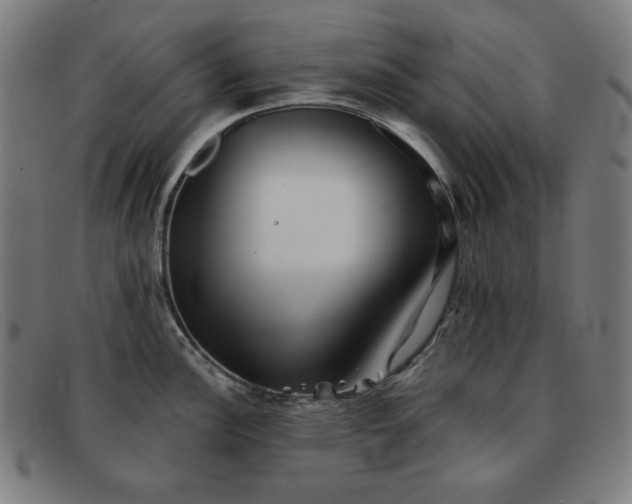 X0000091891148200709121435