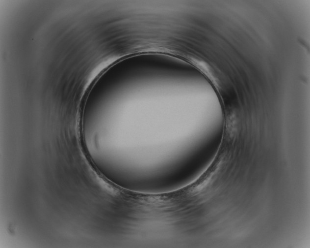 X0000091891149200709121435