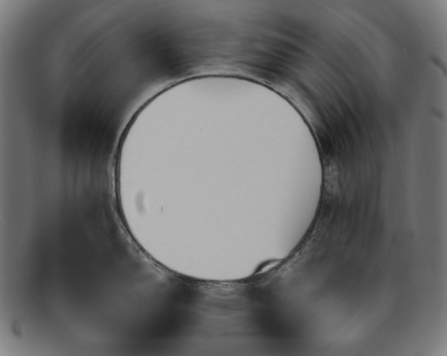 X0000091891150200709121435