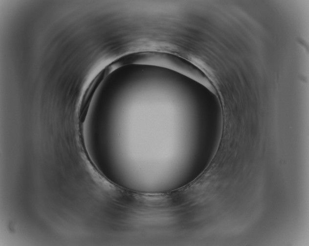 X0000091891152200709121435