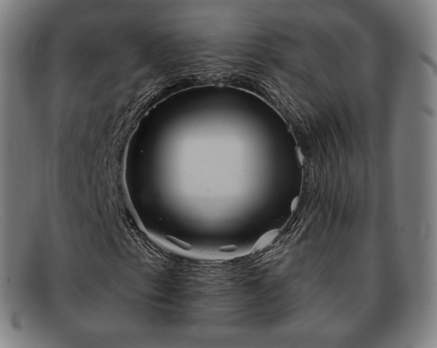 X0000091891153200709121434