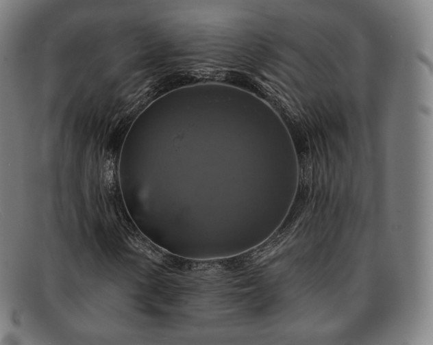 X0000091891154200709121434