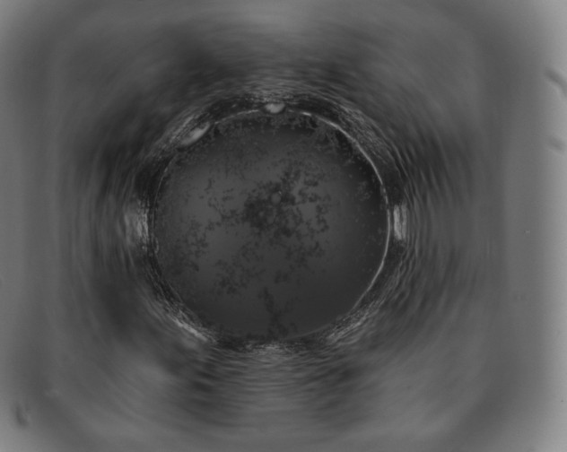 X0000091891155200709121434