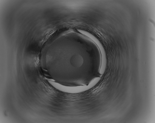 X0000091891156200709121434