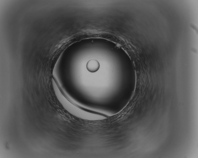 X0000091891157200709121434