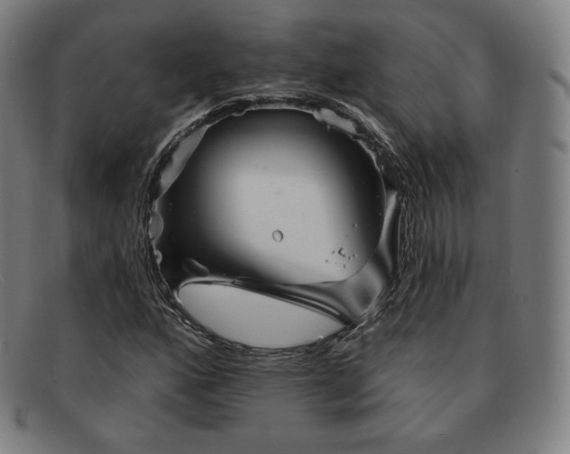 X0000091891160200709121434