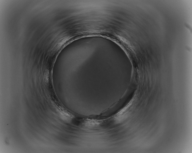 X0000091891161200709121434