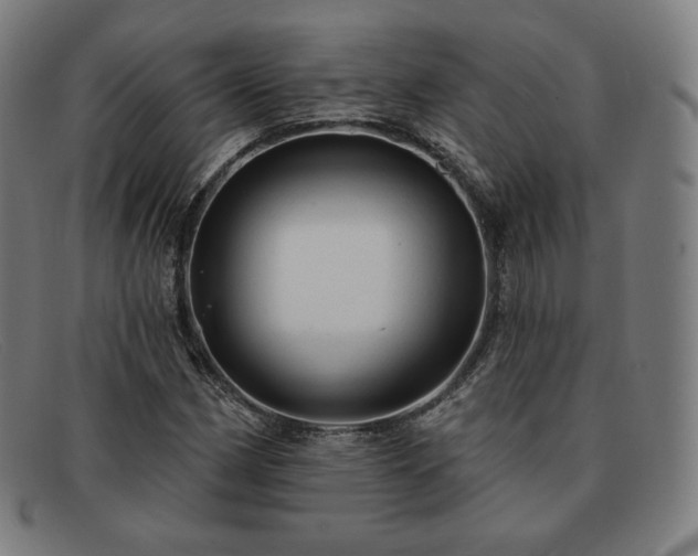 X0000091891162200709121434