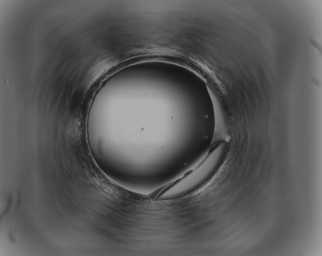X0000091891163200709121434