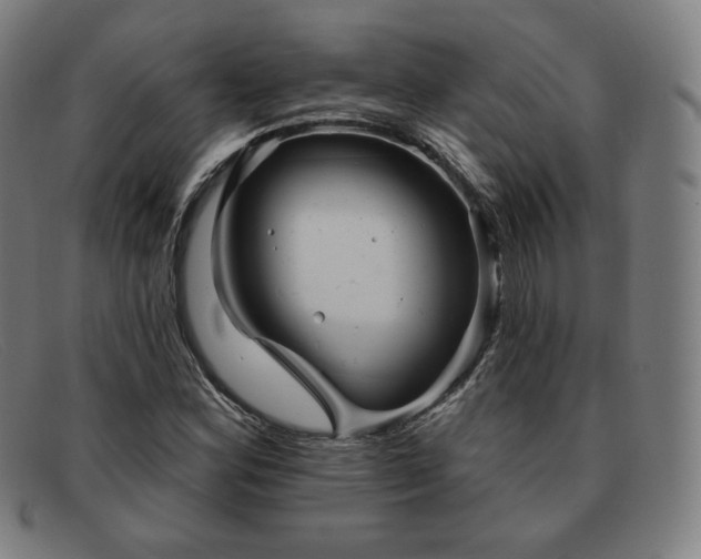 X0000091891164200709121434