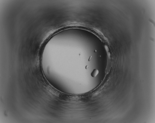X0000091891167200709121434