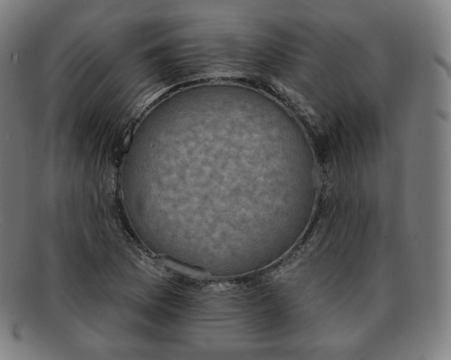 X0000091891169200709121434