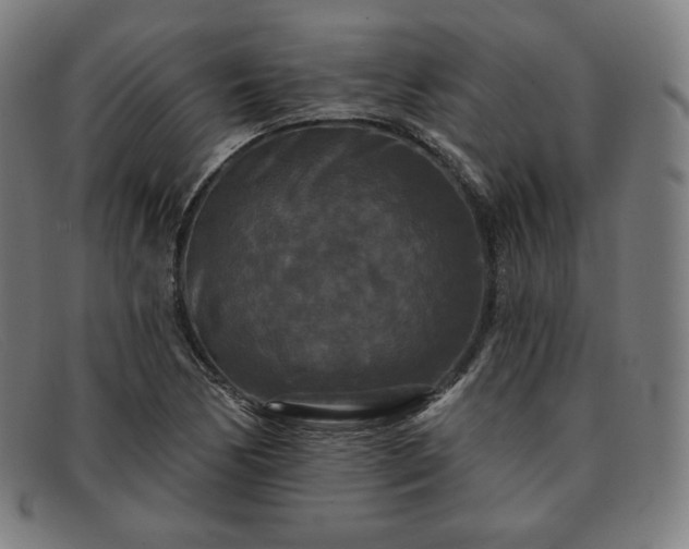 X0000091891170200709121434