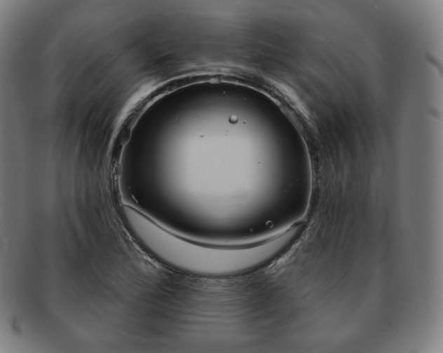 X0000091891172200709121434
