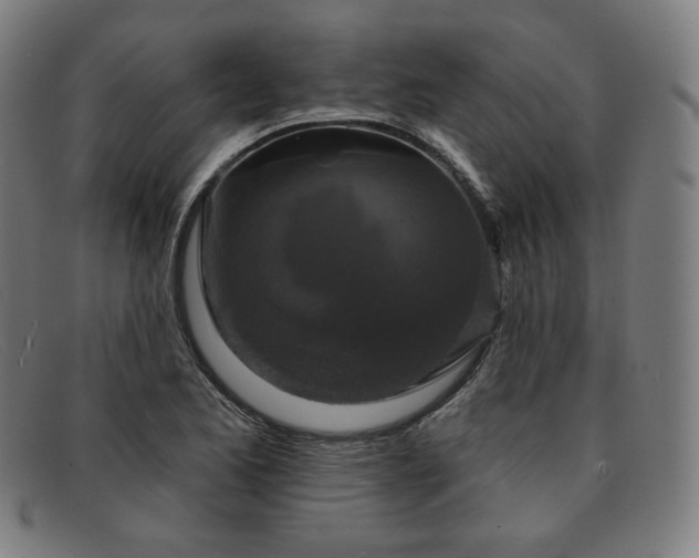 X0000091891173200709121434