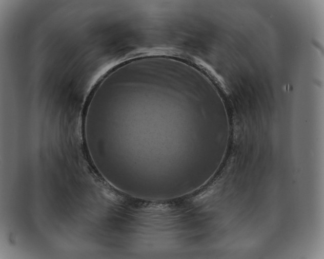 X0000091891174200709121434