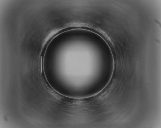 X0000091891175200709121434