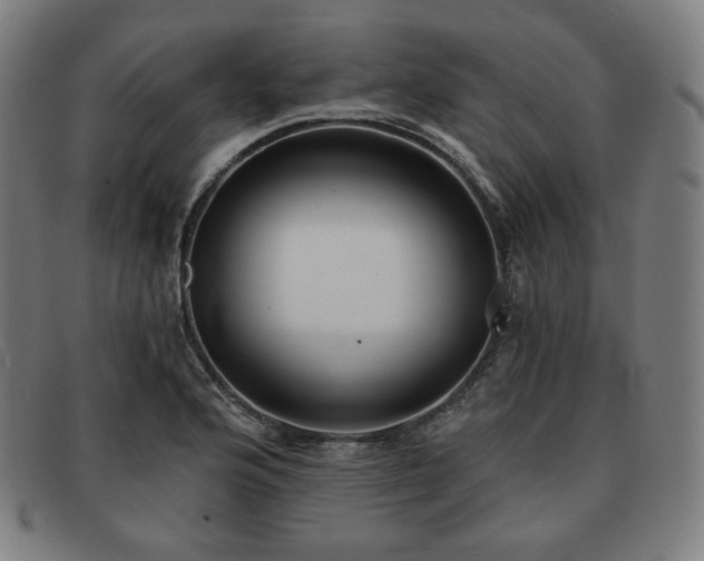 X0000091891176200709121434
