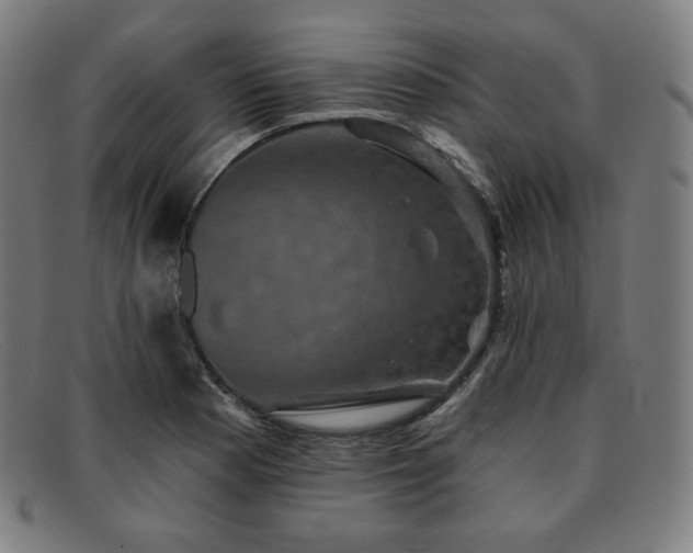 X0000091891177200709121434