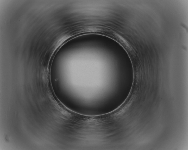 X0000091891178200709121434