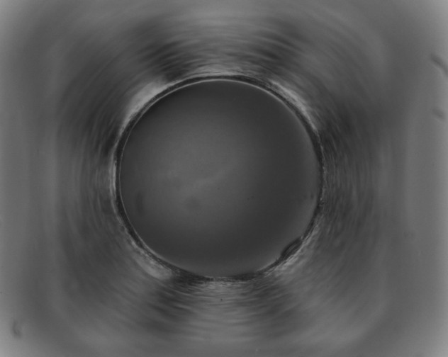 X0000091891179200709121434