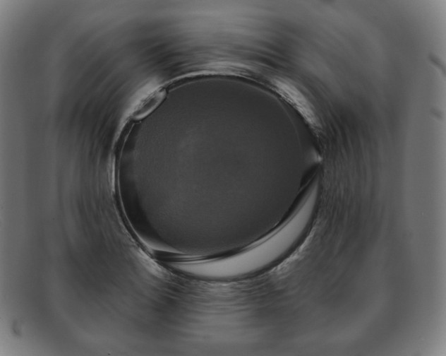 X0000091891180200709121434