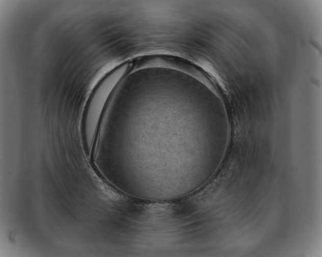 X0000091891181200709121434